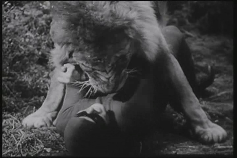 Tom Tyler fighting a ferocious lion in The Phantom (1943)